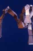 Construct X (#1)