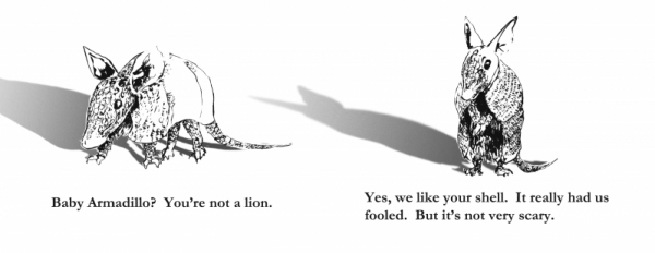 Pg 8 and 9